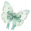 ⊹ ࣪ ˖𝓜𝓲𝓷𝓽-'.🌿.'-