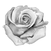 Эмодзи rose garden ♡