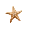Морские Узоры