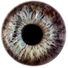 Eyes