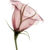 Эмодзи pink