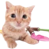 Эмодзи Kitties