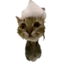 Эмодзи Котики