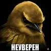 Birds Memes