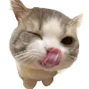 Эмодзи Cute animals