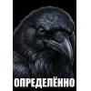 Birds Memes