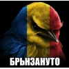 Эмодзи Birds Memes