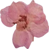 Эмодзи Pressed flowers