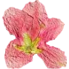Эмодзи Pressed flowers