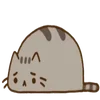 Pusheen