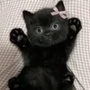 Эмодзи random cats