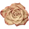 Rotten core