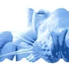 Эмодзи 𐓣᳟ᩫ𐑼 ⏜݄