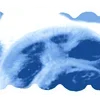 Эмодзи 𐓣᳟ᩫ𐑼 ⏜݄