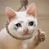 Эмодзи sadcatemoji