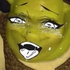 Эмодзи SHREK