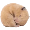 Эмодзи silly hamsters