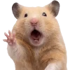 Эмодзи silly hamsters