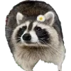 Эмодзи Raccoons