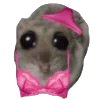 Эмодзи Homyak