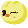 skzoo