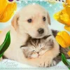 Эмодзи собаки и котики