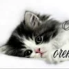 Эмодзи собаки и котики