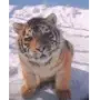 Эмодзи Sodiqov's Blog