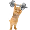 Эмодзи Спорт