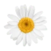 Эмодзи Springtime | Весна