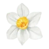 Эмодзи Springtime | Весна