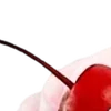 Эмодзи ╭┈༺sᴘʀɪɴɢ༻┈╮ ✧