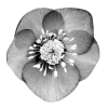 Эмодзи Flowers