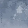 foggy