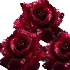 Эмодзи Roses