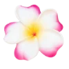 Эмодзи summer aesthetica
