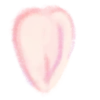 Pink font