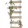 Эмодзи ✧ㅤинжир ㅤㅤ