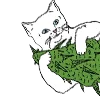 weed