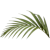 Эмодзи tropical