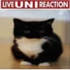 Эмодзи Uni Cat