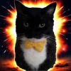 Эмодзи Uni Cat