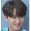 Эмодзи Stray Kids