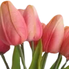 Эмодзи весна 🌷