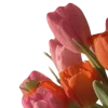 Эмодзи весна 🌷