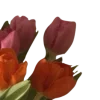 Эмодзи весна 🌷