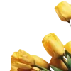 Эмодзи весна 🌷