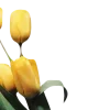 Эмодзи весна 🌷