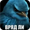 Birds Memes
