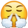 Whatsapp Emojis